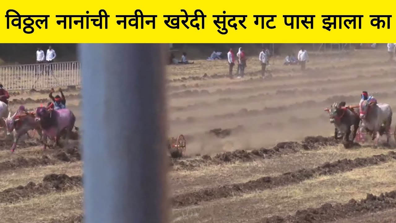 विठ्ठल नानांची नवीन खरेदी सुंदर गट पास झाला का नाही नक्की बघा व्हिडिओ 💯🥹