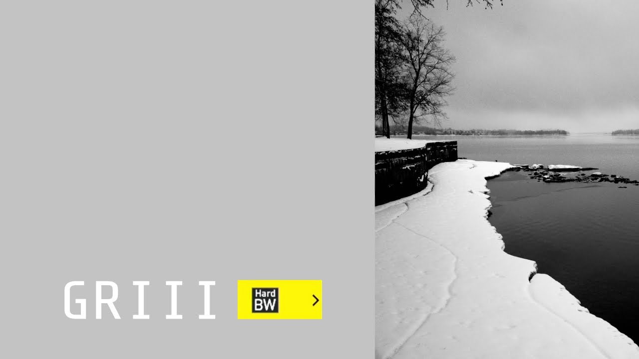 Ricoh GR III Photography: Hard BW Setting