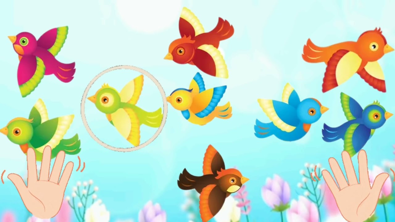 "Пташині зустрічі", логіко-математичне заняття, середня група