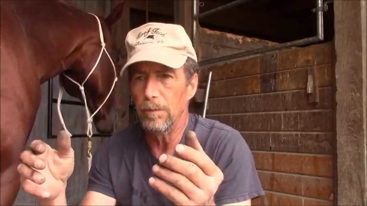 Hoof abscesses, what you need to know