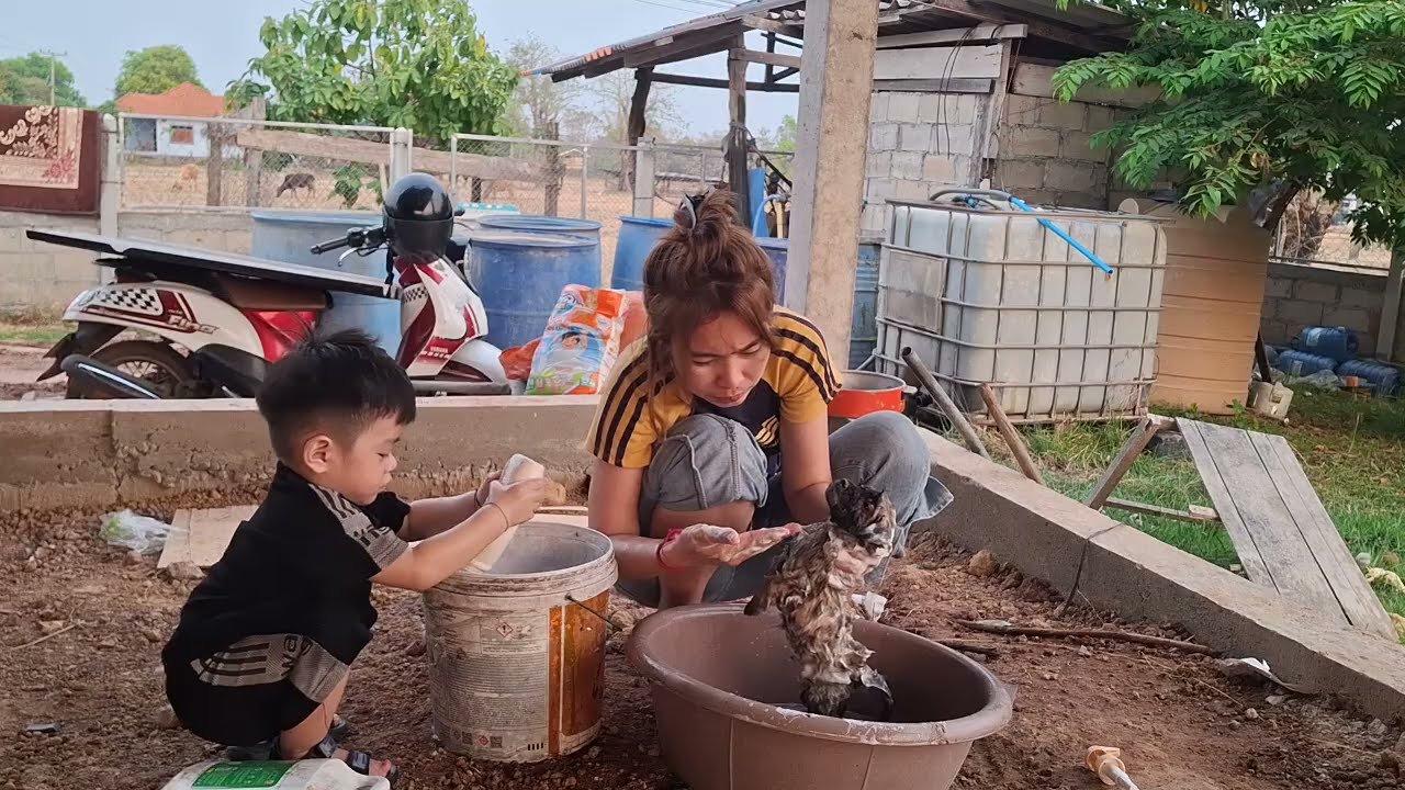 น้องแรัพเตอ์อยากช่วยแม่อาบน้ำให้น้องหมาน้อย🥰25 กุมภาพันธ์ ค.ศ. 2026