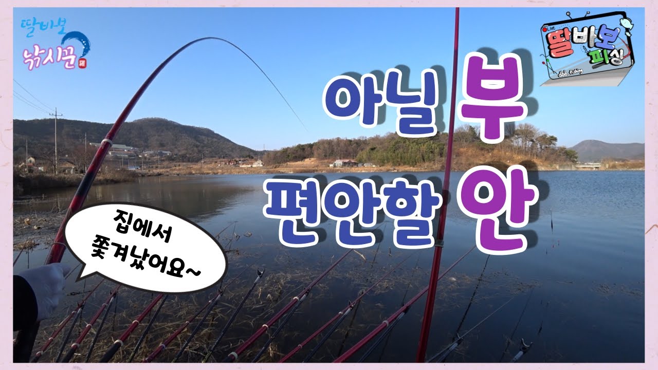 청호 고마 쎄리뿌고~ 집에서 쫓겨났습니다! 연정동에서 참붕어로 화풀이 ㅋㅋ
