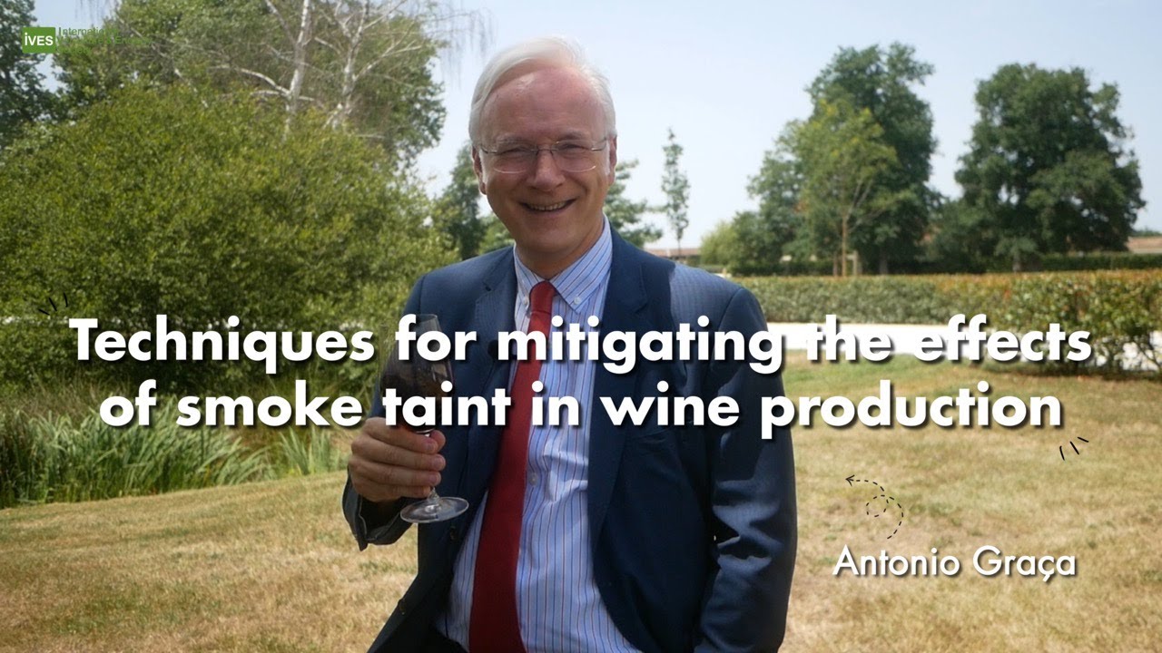 Interview Antonio Graça: The techniques for mitigating the effects of smoke taint in wine production