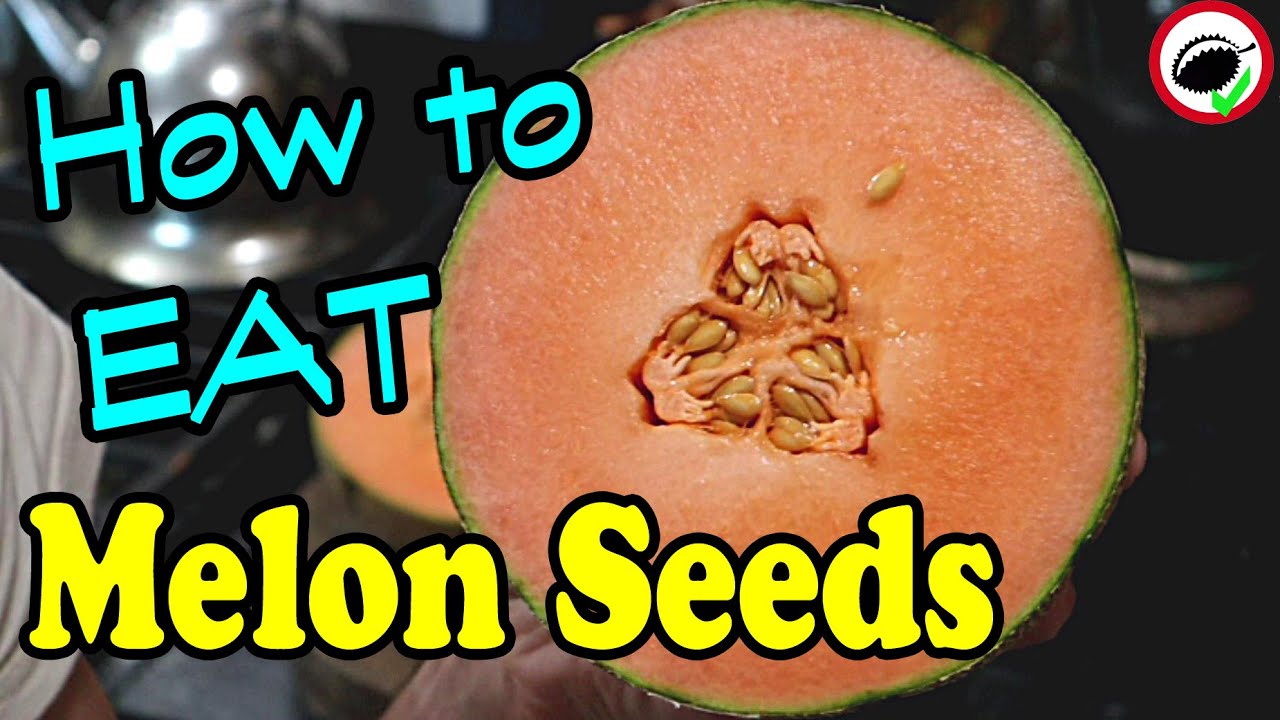 Семена дыни можно есть &mdash; Weird Fruit Explorer, выпуск 362