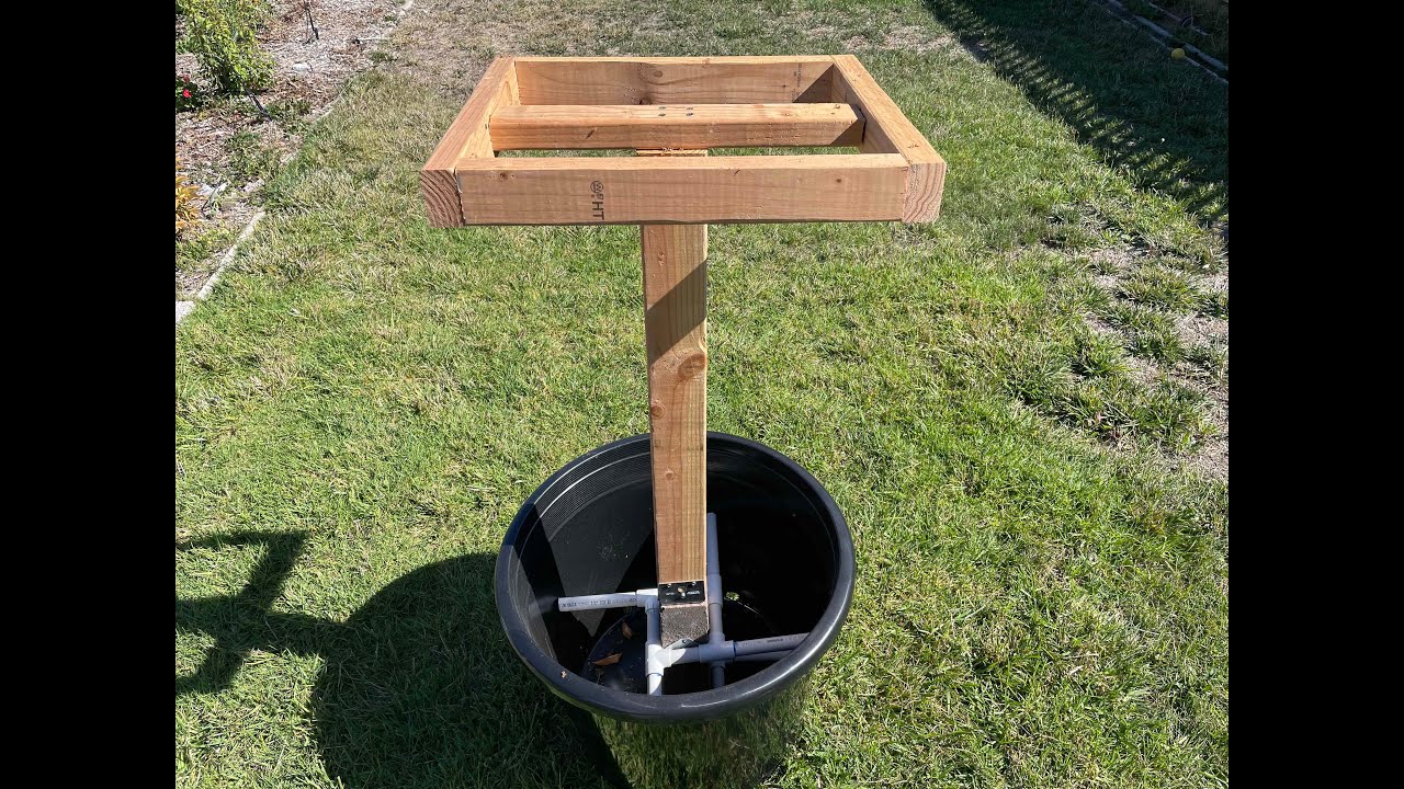 The Dragon Fruit Journey: Trellis Design and Build