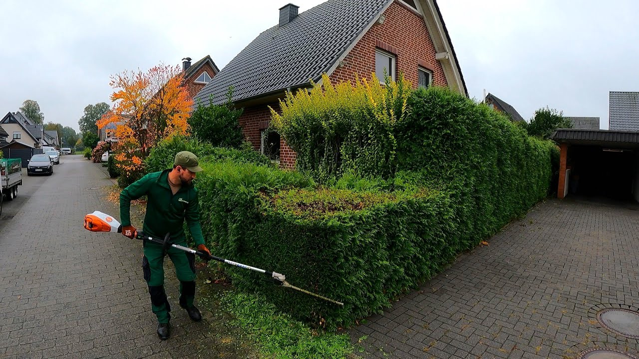 What's Going On Here? You TRAMPLED My FLOWERS, Neighbor Complained