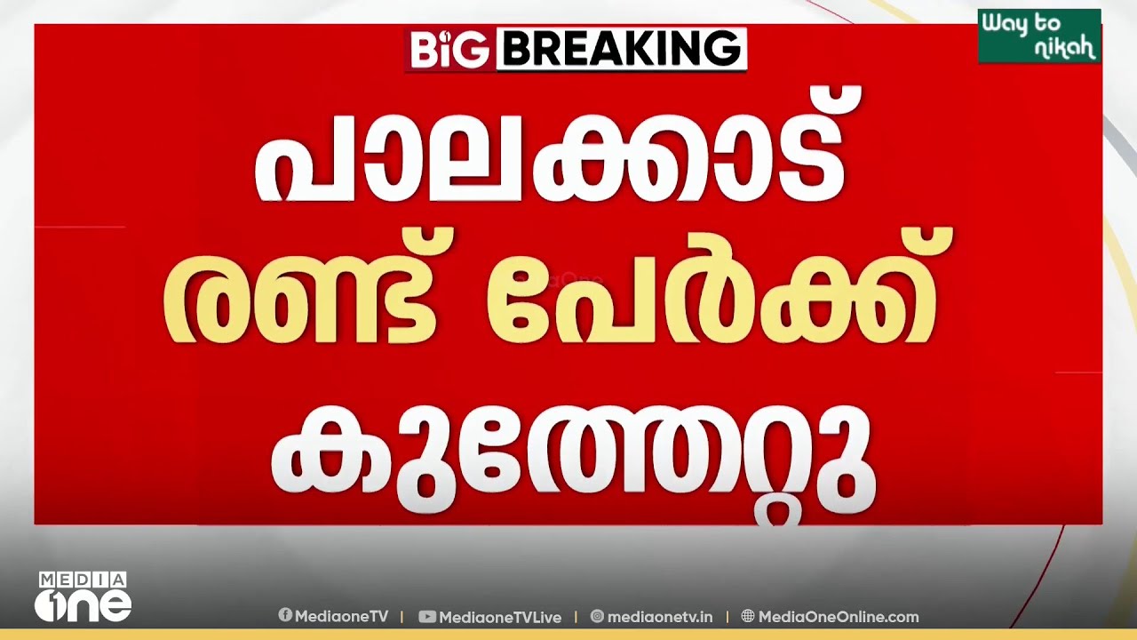 പാലക്കാട് സിപിഎം ബ്രാഞ്ച് സെക്രട്ടറി ഉൾപ്പെടെ രണ്ട് പേർക്ക് കുത്തേറ്റു: രണ്ടുപേർക്ക് പരിക്ക്