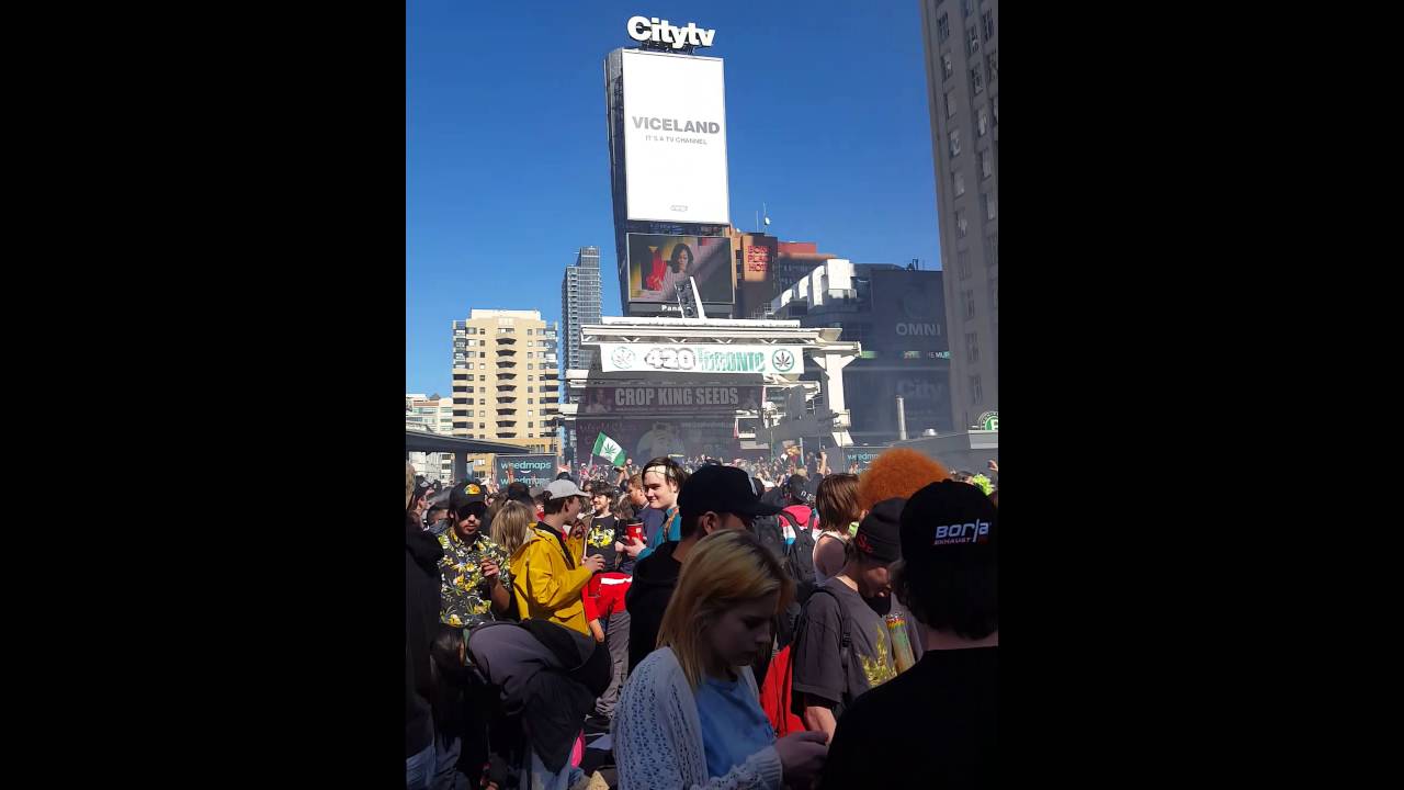 Toronto 420 Festival 2016