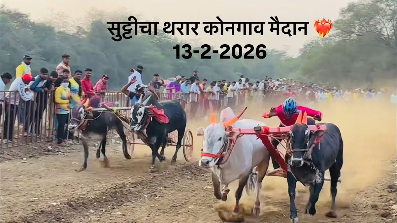 🚩१३-०२-२०२६ कोनगाव मैदान सुट्टीचा थरार 🚩🔥❤️‍🔥. #bailgadasharyat 
