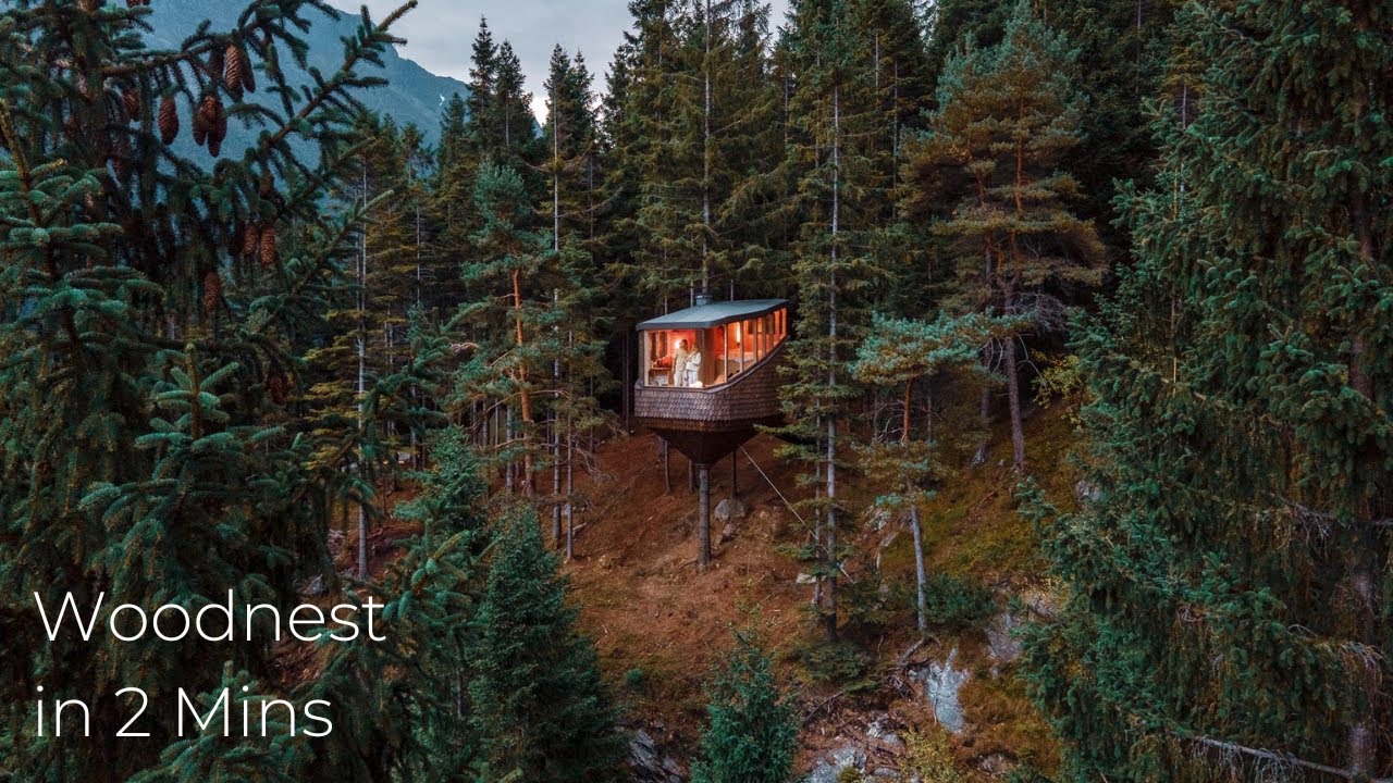 Woodnest in 2 mins