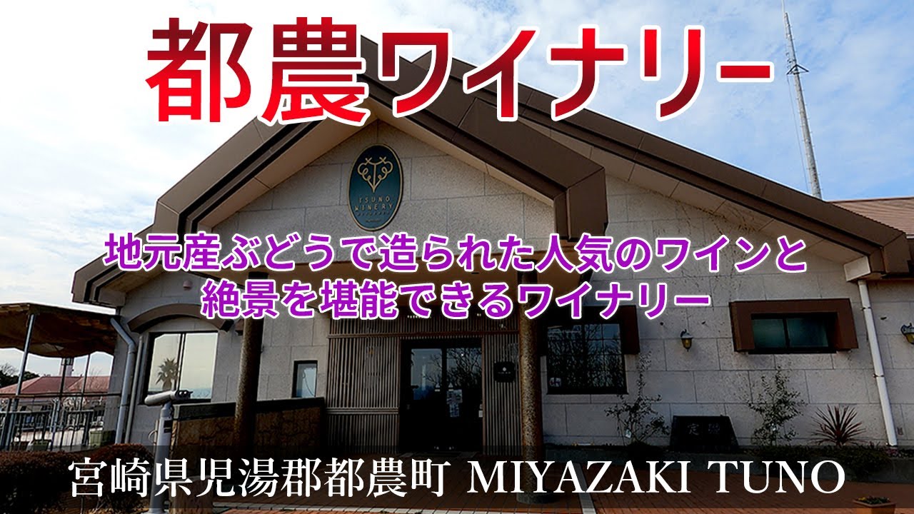 【都農ワイナリー】地元産ぶどうで造られた人気のワインと絶景を堪能できるワイナリー『宮崎観光』Miyazaki,Tsuno,wine,winery