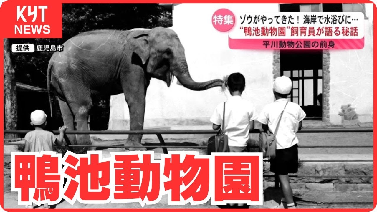 戦時中の悲しい記憶も…モノレールや劇場まであった「鴨池動物園」当時の飼育員が語る驚きの秘話