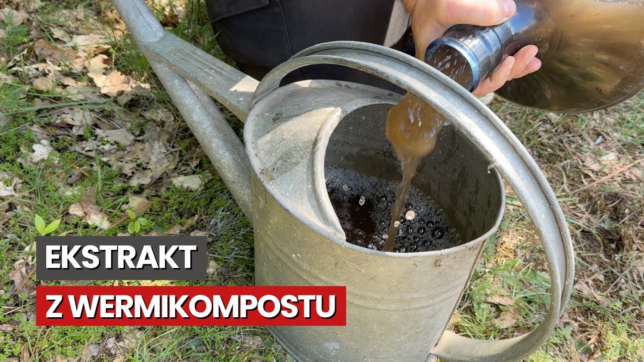 Ekstrakt z wermikompostu ożywi Twoją glebę