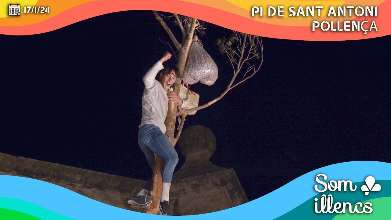 🌲 Video Resum del Pi de Sant Antoni 2024 de Pollença! 🎉