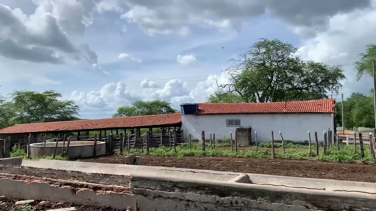 Queijo do Tonho - Quixeramobim/CE