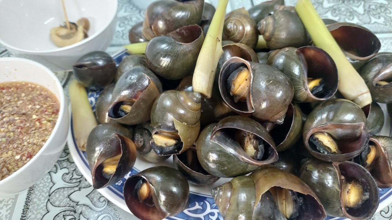 ⚘️Món Ốc Bươu Luộc Nước Dừa Tươi Thơm Ngon nè 