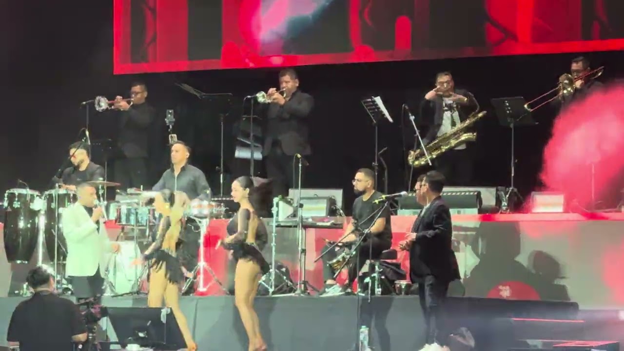 El Canario - Sueño contigo (en vivo)