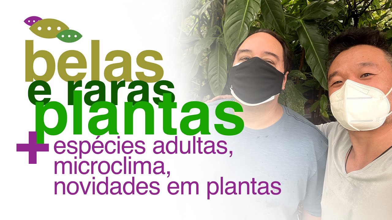 Coleção Botânica - Plantas Raras e Belas do Sítio E-Jardim | Invasão Plantóide | Flay