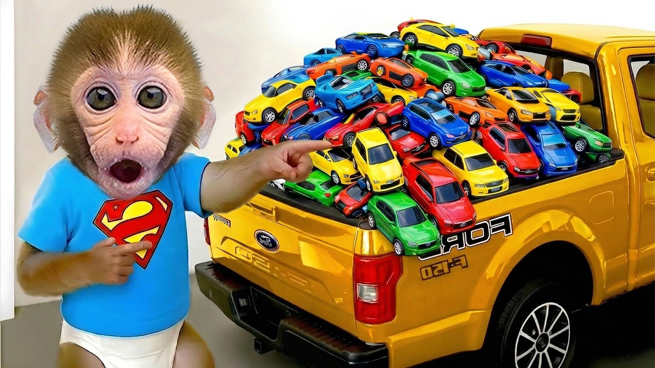 Monyet Bon Bon Imut membeli monster truck dan bermain seluncuran warna warni di mandi busa