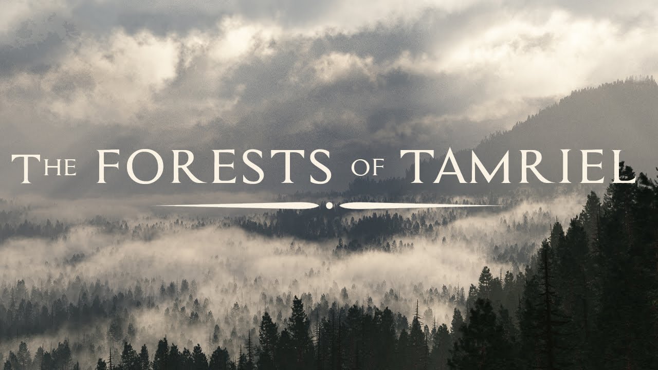 Jeremy Soule (Skyrim) &mdash; In The Forests of Tamriel [Skyrim Forestpine BSA]