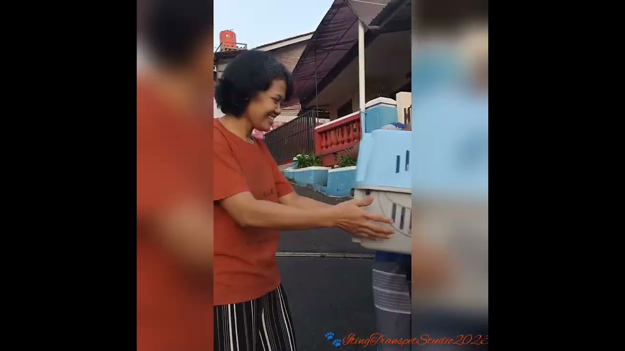 ❤️ Semua makhluk PASTI BISA berbahagia ❤️ - Kepulangan Arka