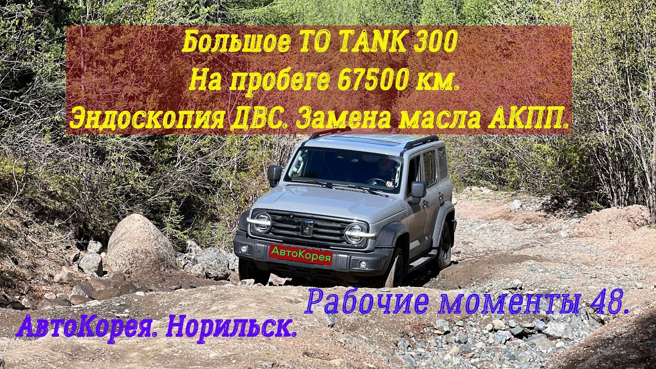 Рабочие моменты 48  TANK300  Большое ТО, эндоскопия ДВС  Замена сальника привода