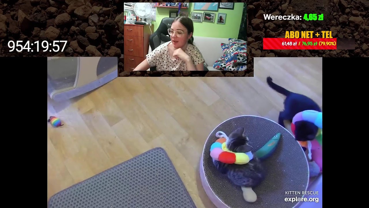 Kiteny i smoczek (prawie koniec)