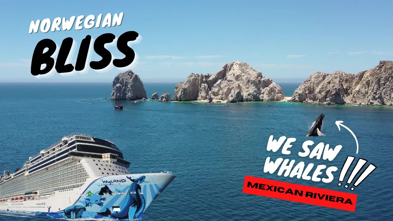 WHALES EVERYWHERE! Mexican Riviera Cruise on NORWEGIAN BLISS