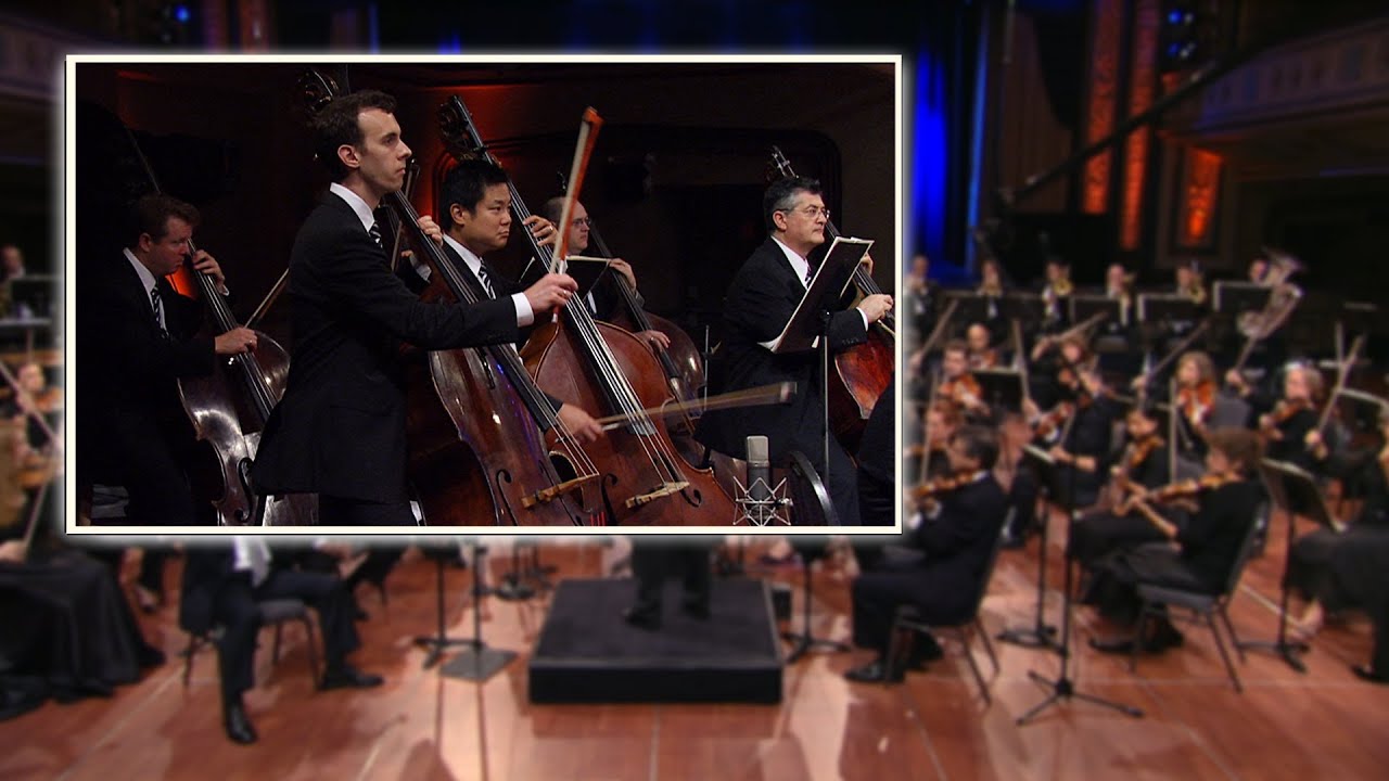 Stravinsky Firebird Suite (Double Basses, Excerpts)
