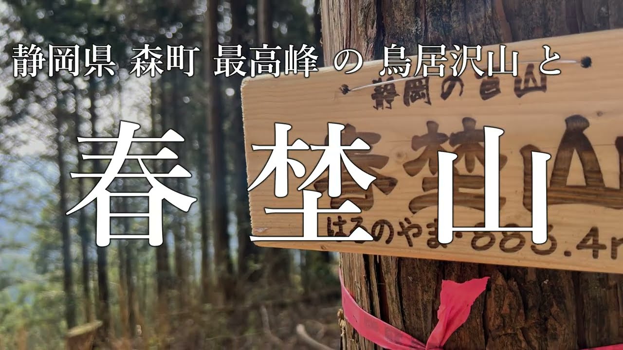 静岡百山１４【 春埜山・鳥居沢山 】登山歴６か月 初心者の 日帰り登山【 ソロ登山 】静岡県 森町　４K