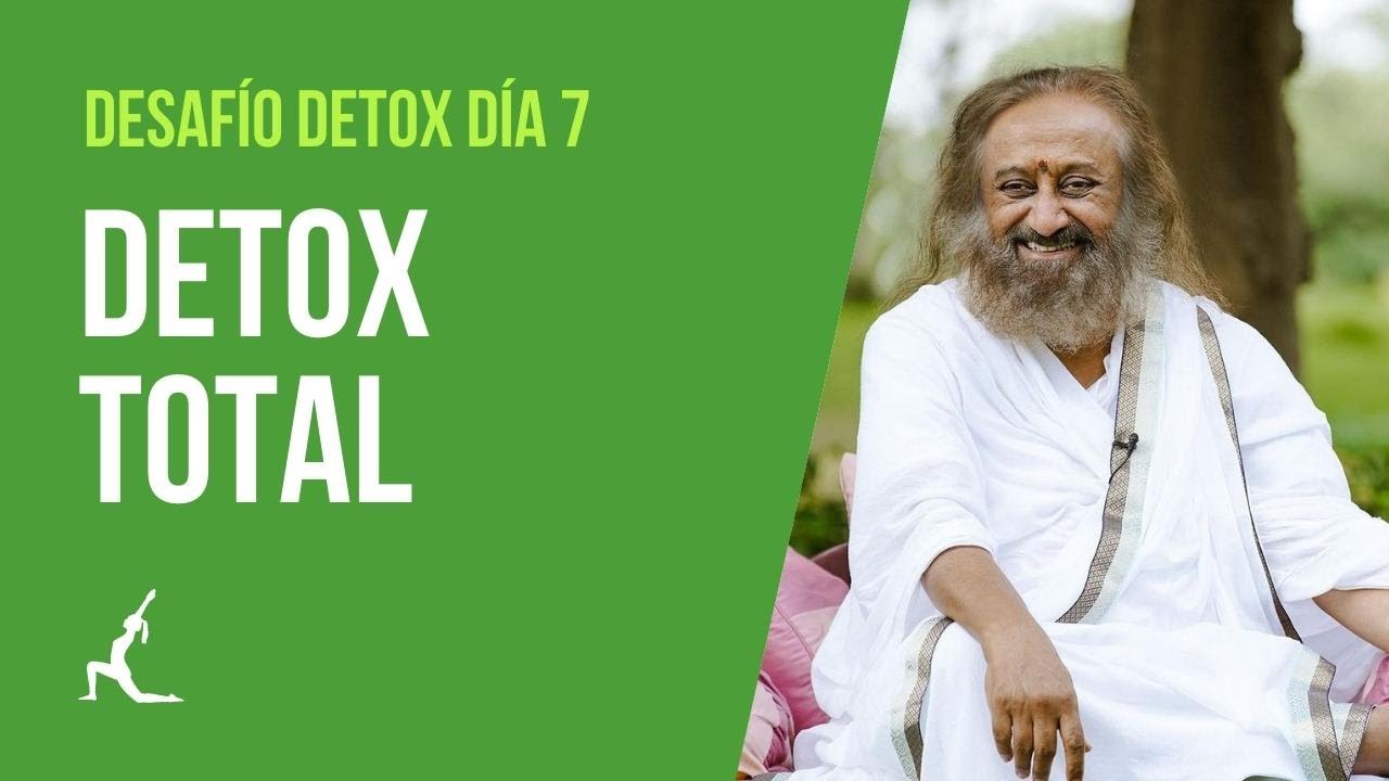 DIA 7 |  DETOX TOTAL 🌱 Desafío DETOX | El Arte de Vivir