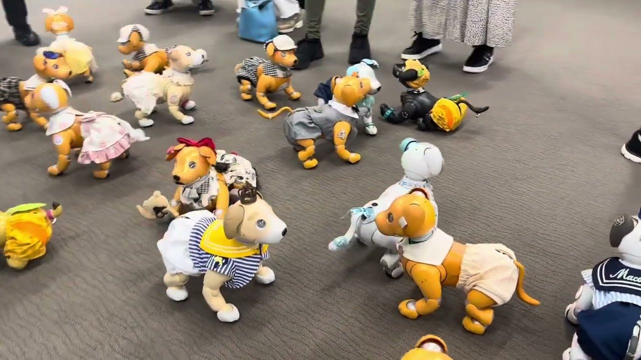 aiboキャラメルズオフ会の動画