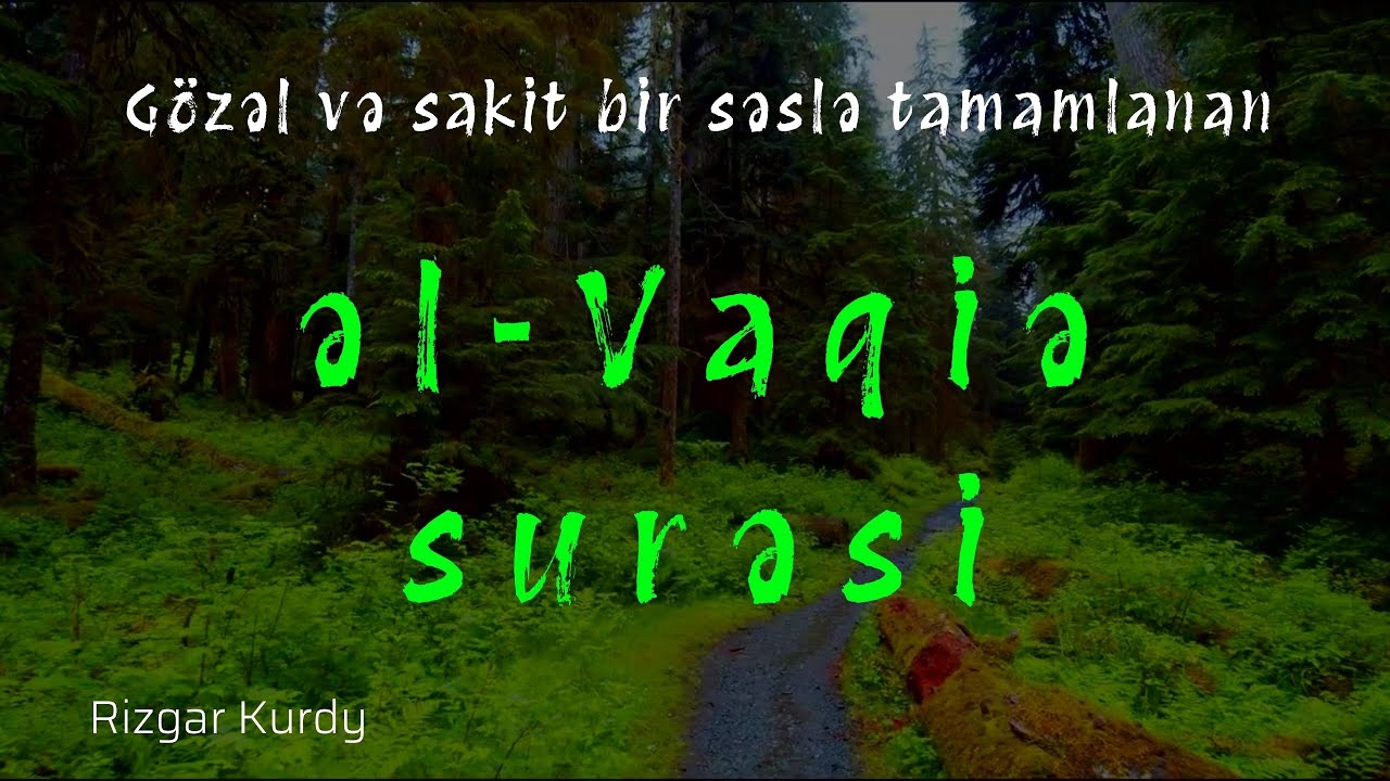 Gözəl və sakit bir səslə tamamlanan  əl-Vaqiə surəsi  / Rizgar Kurdy