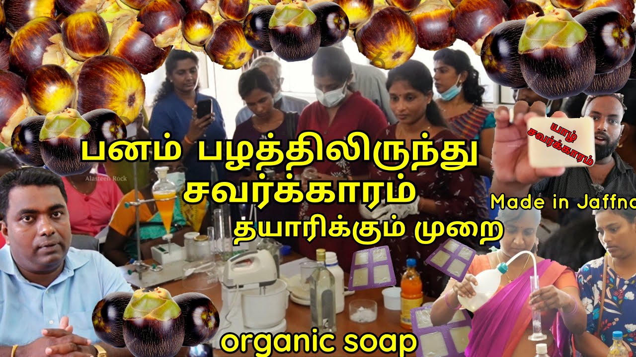 யாழில் பனம்பழ சவர்க்காரம் கண்டுபிடிப்பு! 🌴 Jaffna Palmyrah Organic soap Making | Alasteen Rock