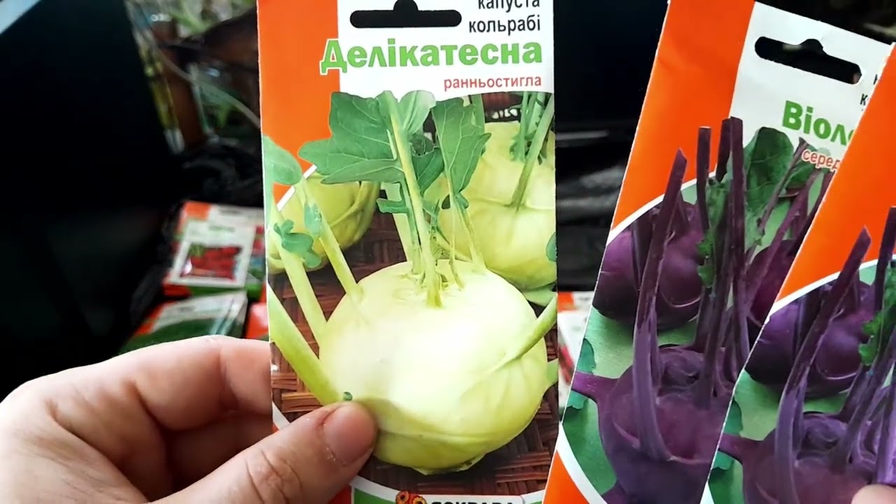 Що посіяти у 2026 році на городі? Перевірене насіння...