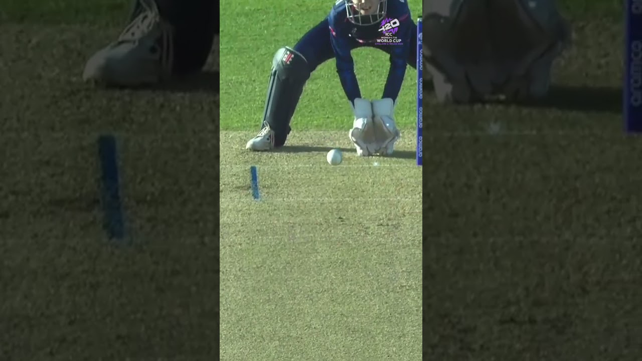 Stafanie Taylor building the West Indies' total with a sublime boundary 👌