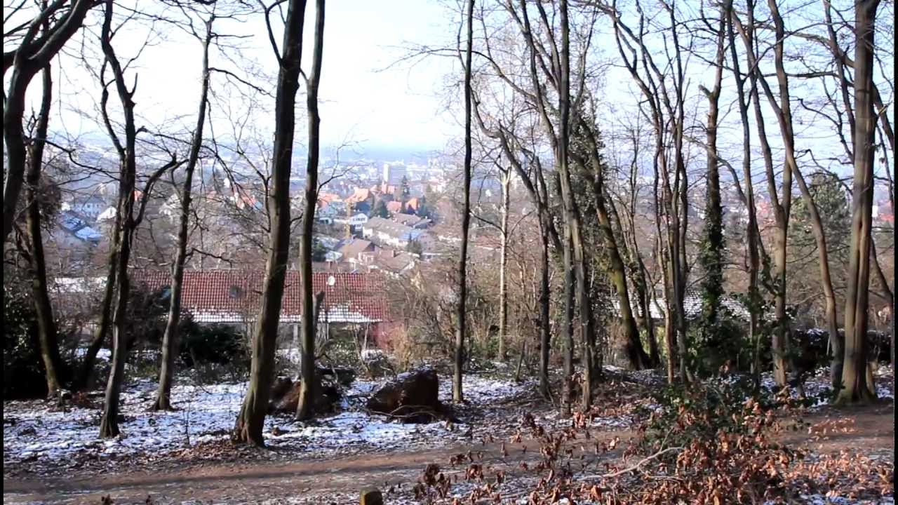 Altbach