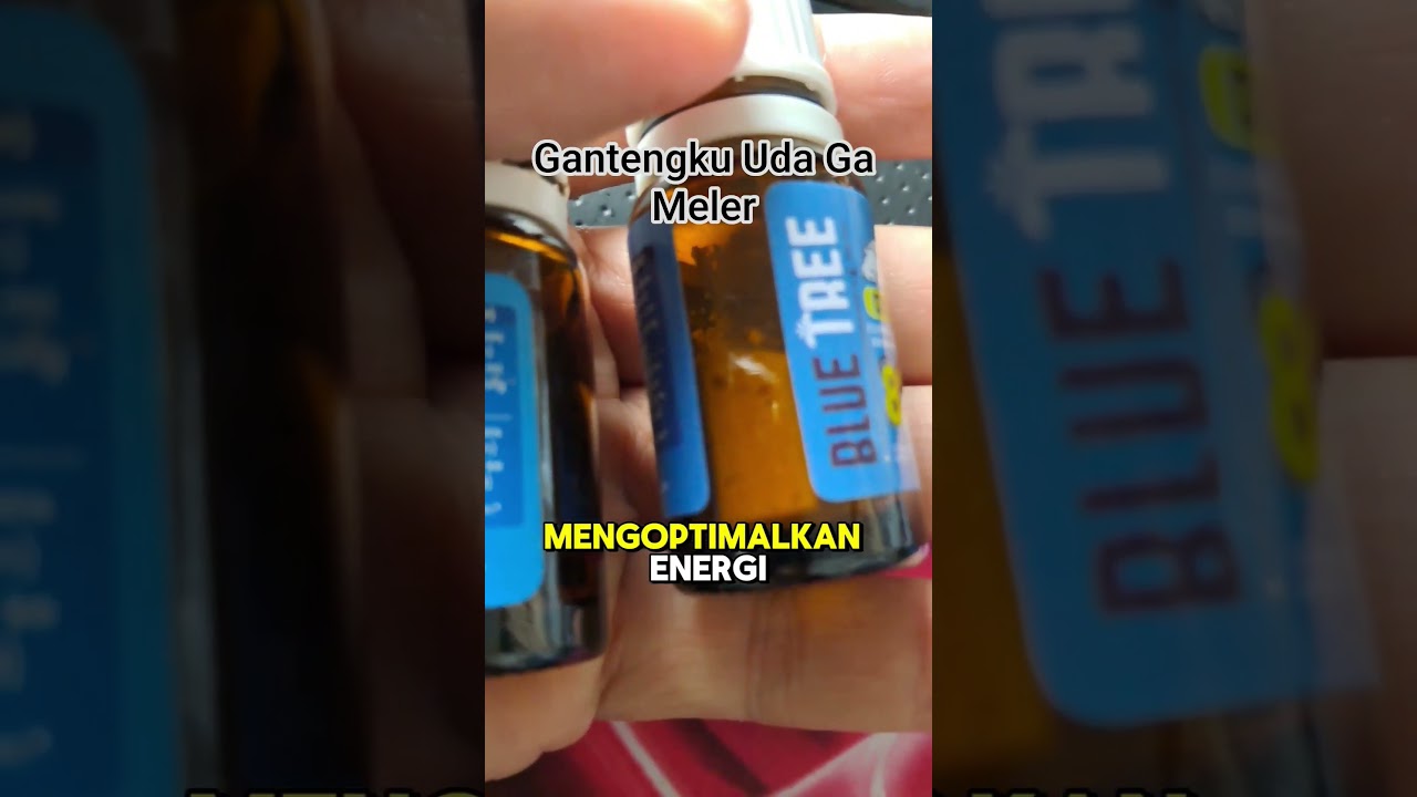 Gantengku Uda Ga Meler Lagi Berkat Blue Tree Olive Care Cold & Flu