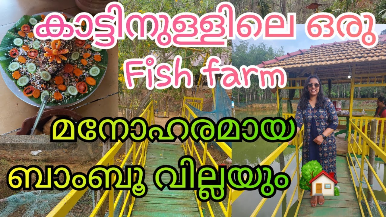 JMS Fish farm | Bamboo house | Kattalappara | Kulathupuzha