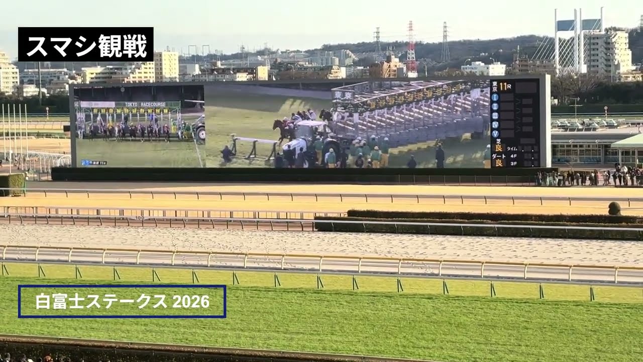 2026年 白富士ステークス | ダノンシーマ | ヴィレム | 現地レース映像 | 東京競馬場 | スマシ観戦