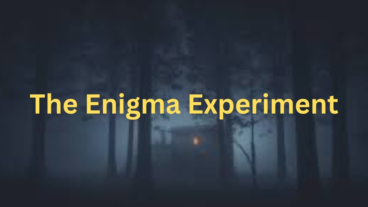 The Enigma Experiment