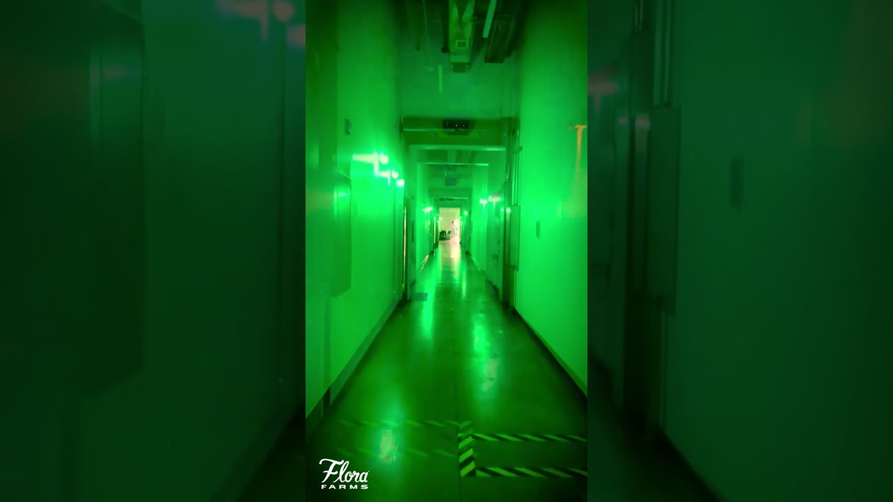 Nighttime at Flora Farms Cultivation Facility