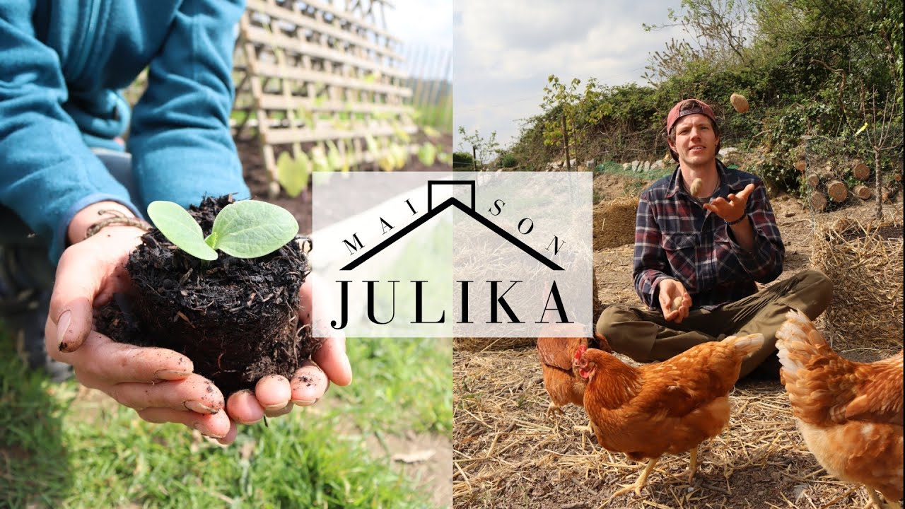 #026 Neues aus dem Garten | 35kg Kartoffeln ernten?