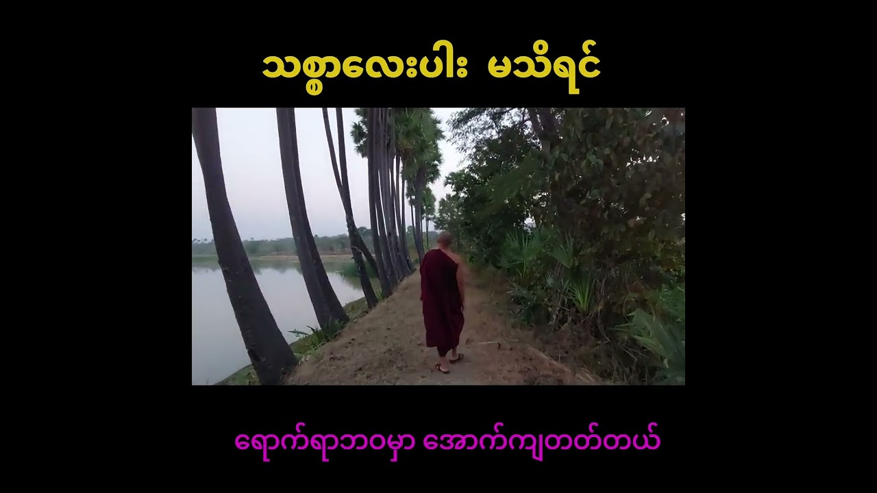 သစ္စာလေးပါးမသိရင် ဘဝအောက်ကျတယ်