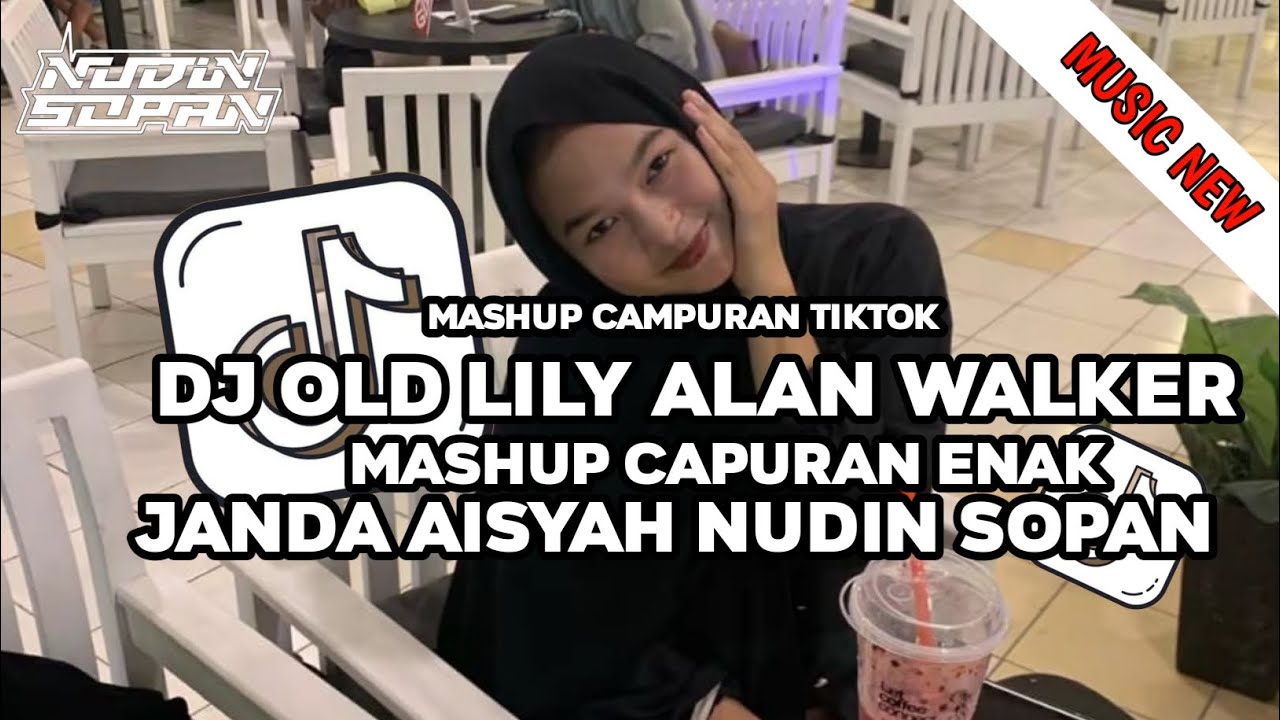 DJ LILY - ALAN WALKER X JANDA AISYAH NUDIN SOPAN MASHUP CAMPURAN 2026