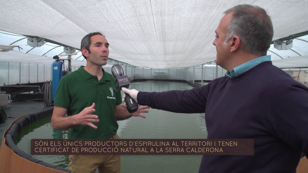 CULTIVO DE LA ESPIRULINA EN ECOSPIRULINA