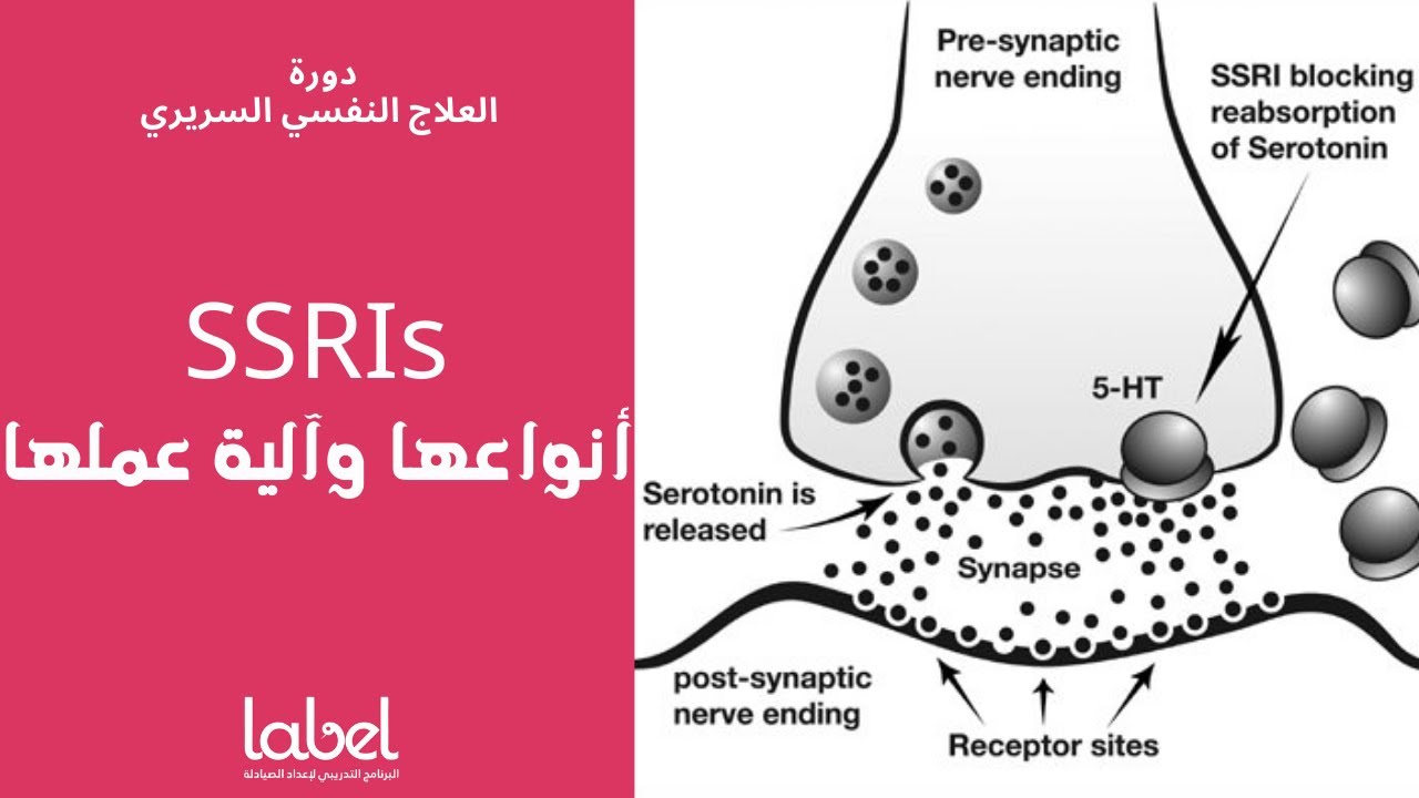 Depression (7) | أنواع SSRIs وآلية عملها | د. معاذ طحان