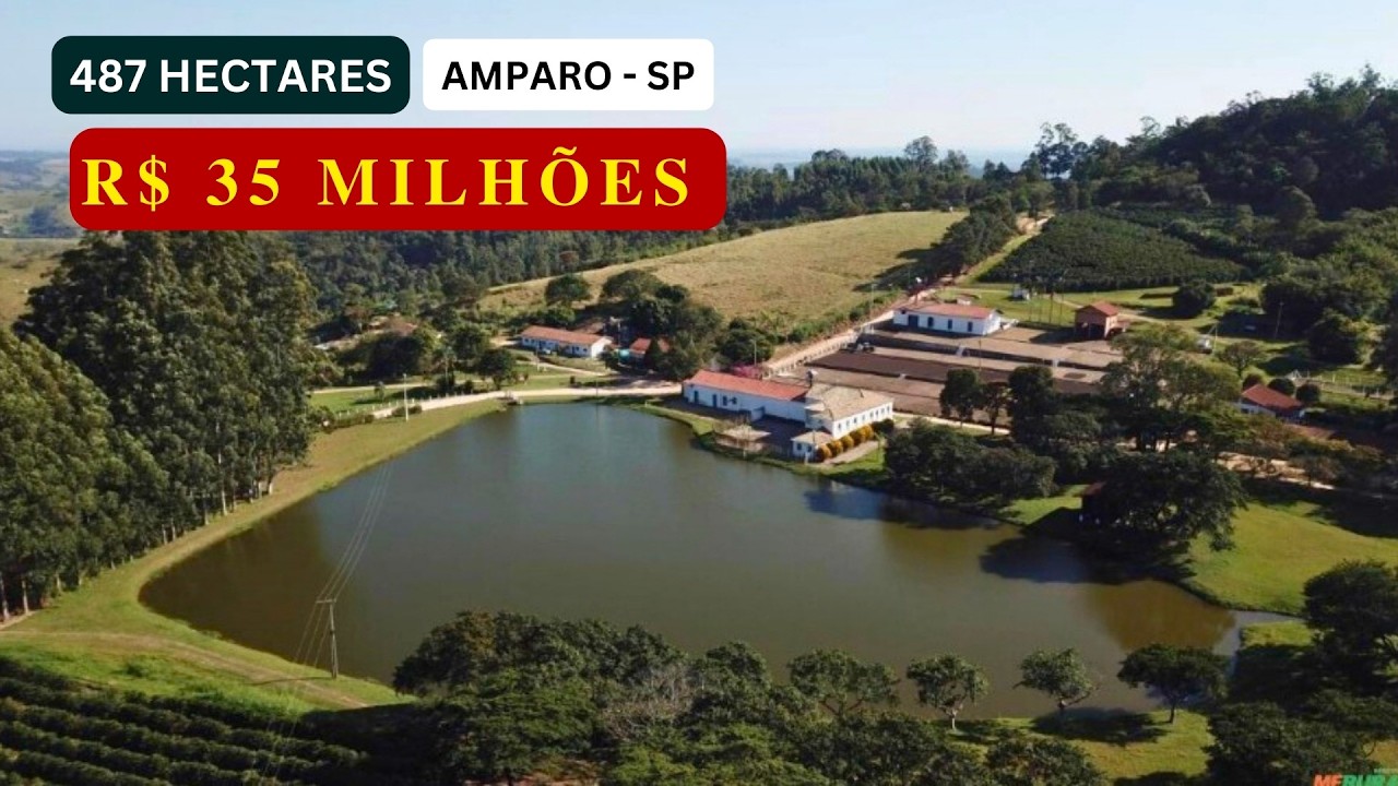 Ativo Rural Centenário em Amparo/SP | 201 Alqueires, Café Mecanizado e Estrutura Completa