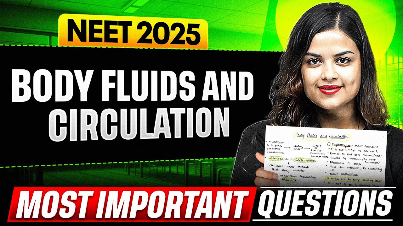 BODY FLUIDS AND CIRCULATION  - Most Important Questions for NEET 2025 || PhysicsWallah