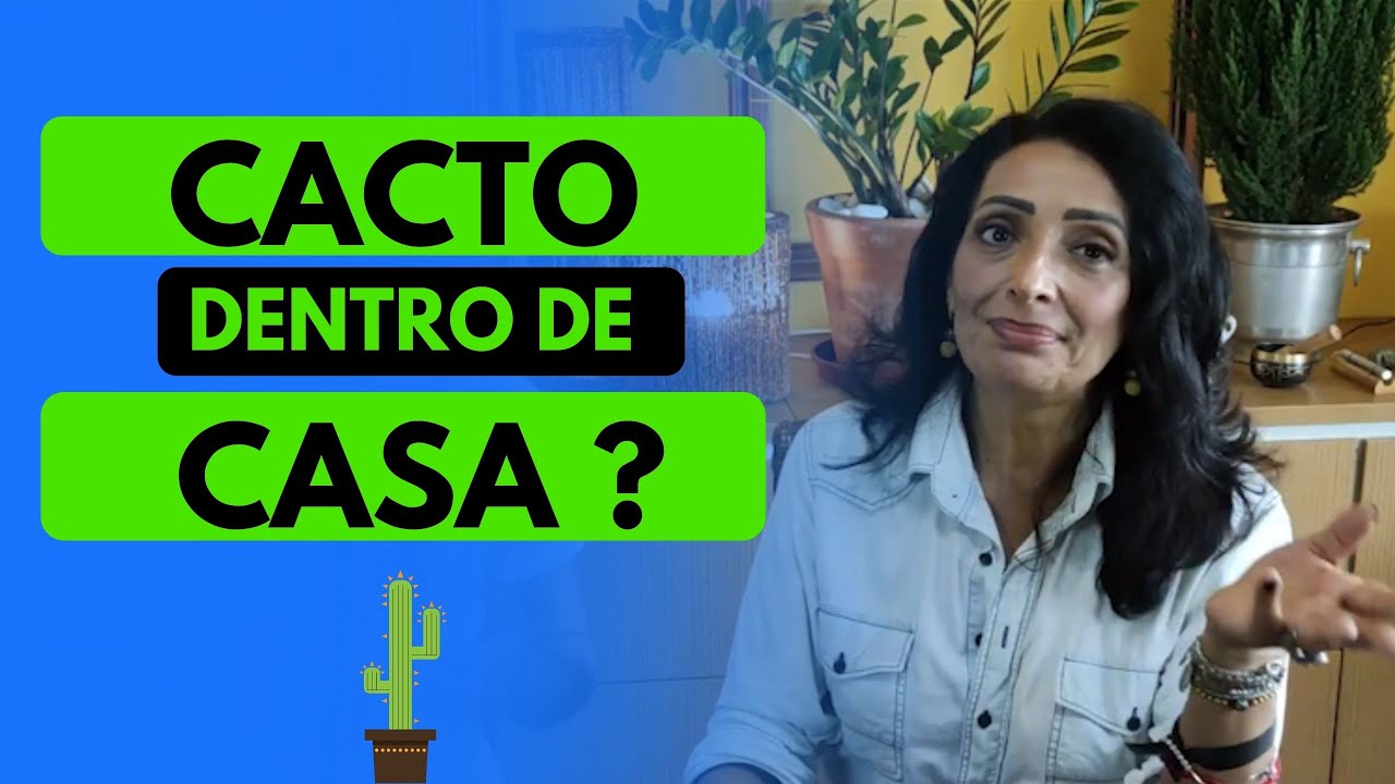 POSSO COLOCAR CACTO DENTRO DE CASA?